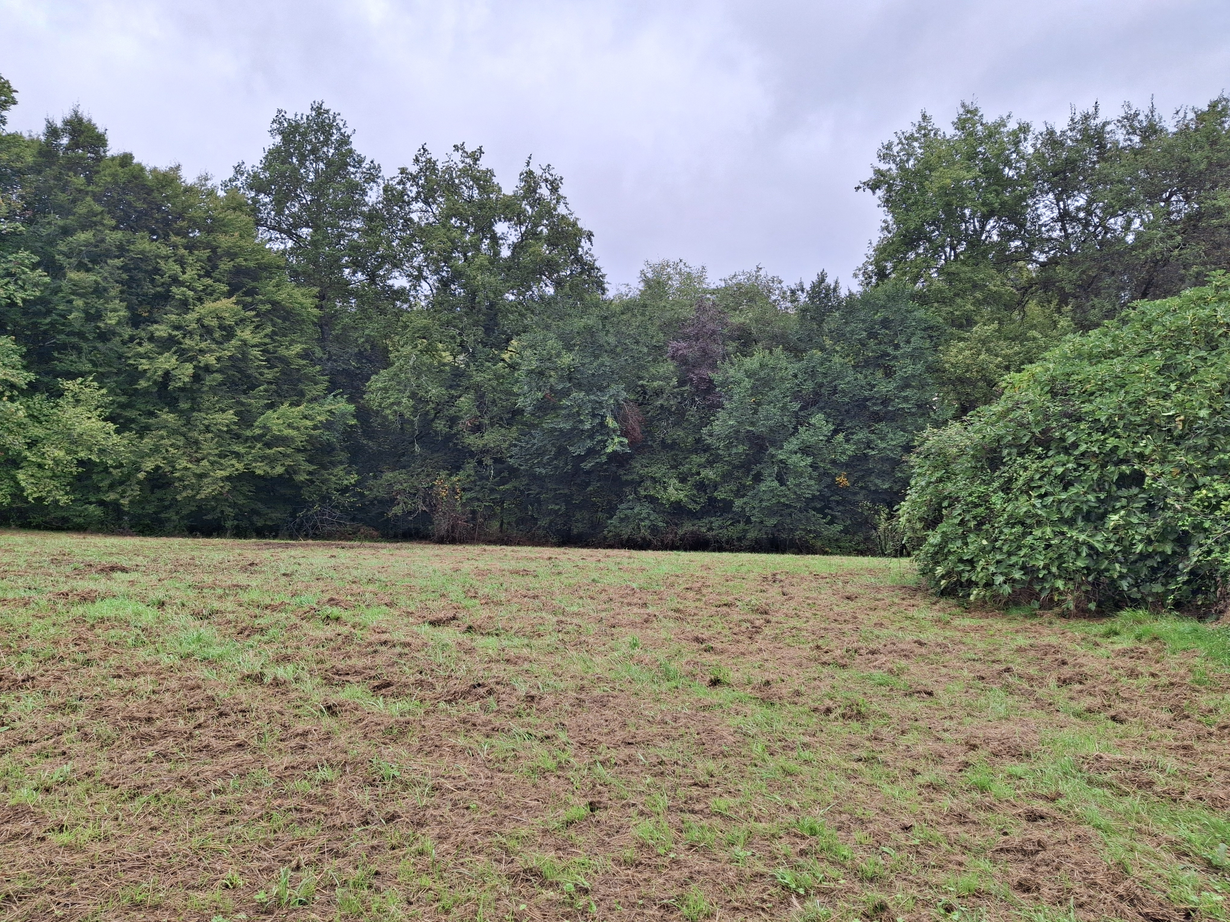 1 Bed, 1 Bath, HouseFor Sale, Lalinde, Dordogne, Aquitaine, 24150