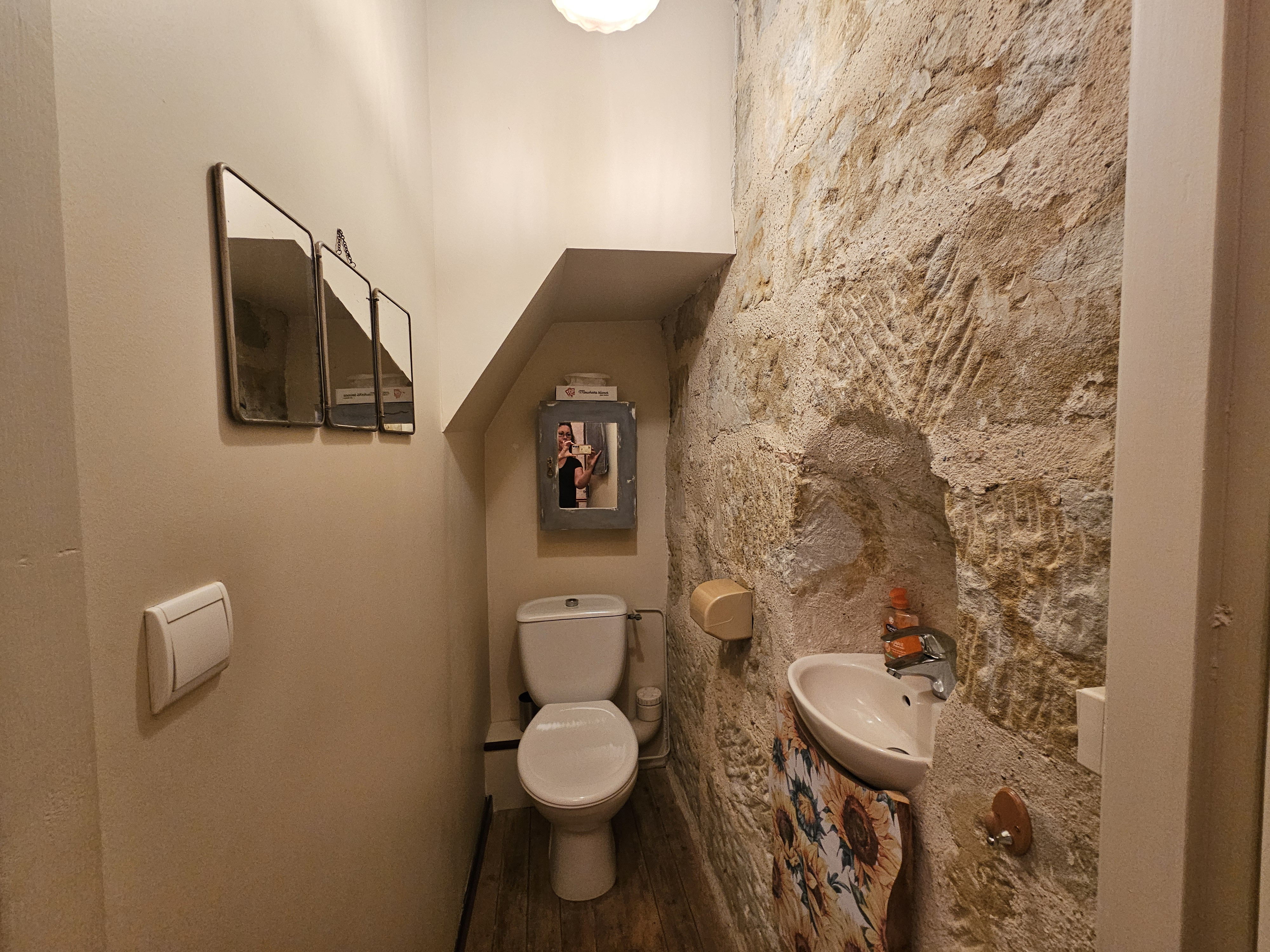 4 Bed, HouseFor Sale, Lauzun, Lot-et-Garonne, Aquitaine, 47410