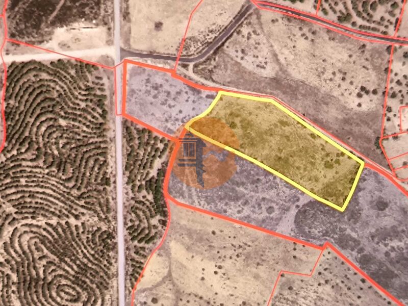 Land, For Sale