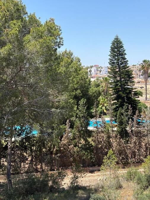 2 Bed, 1 Bath, ApartmentFor Sale, Ciudad Quesada, Alicante