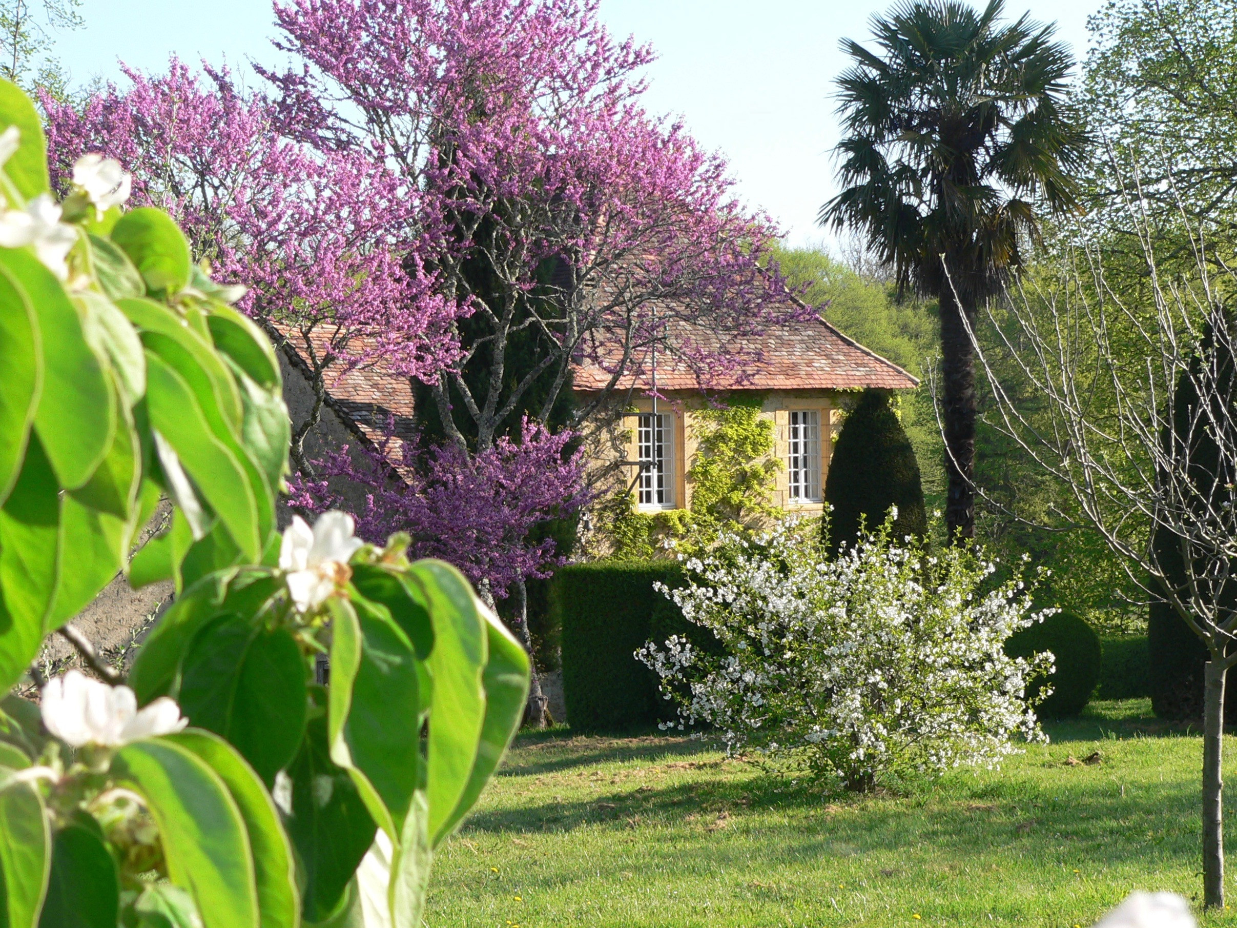 5 Bed, 2 Bath, HouseFor Sale, Liorac Sur Louyre, Dordogne, Aquitaine, 24520