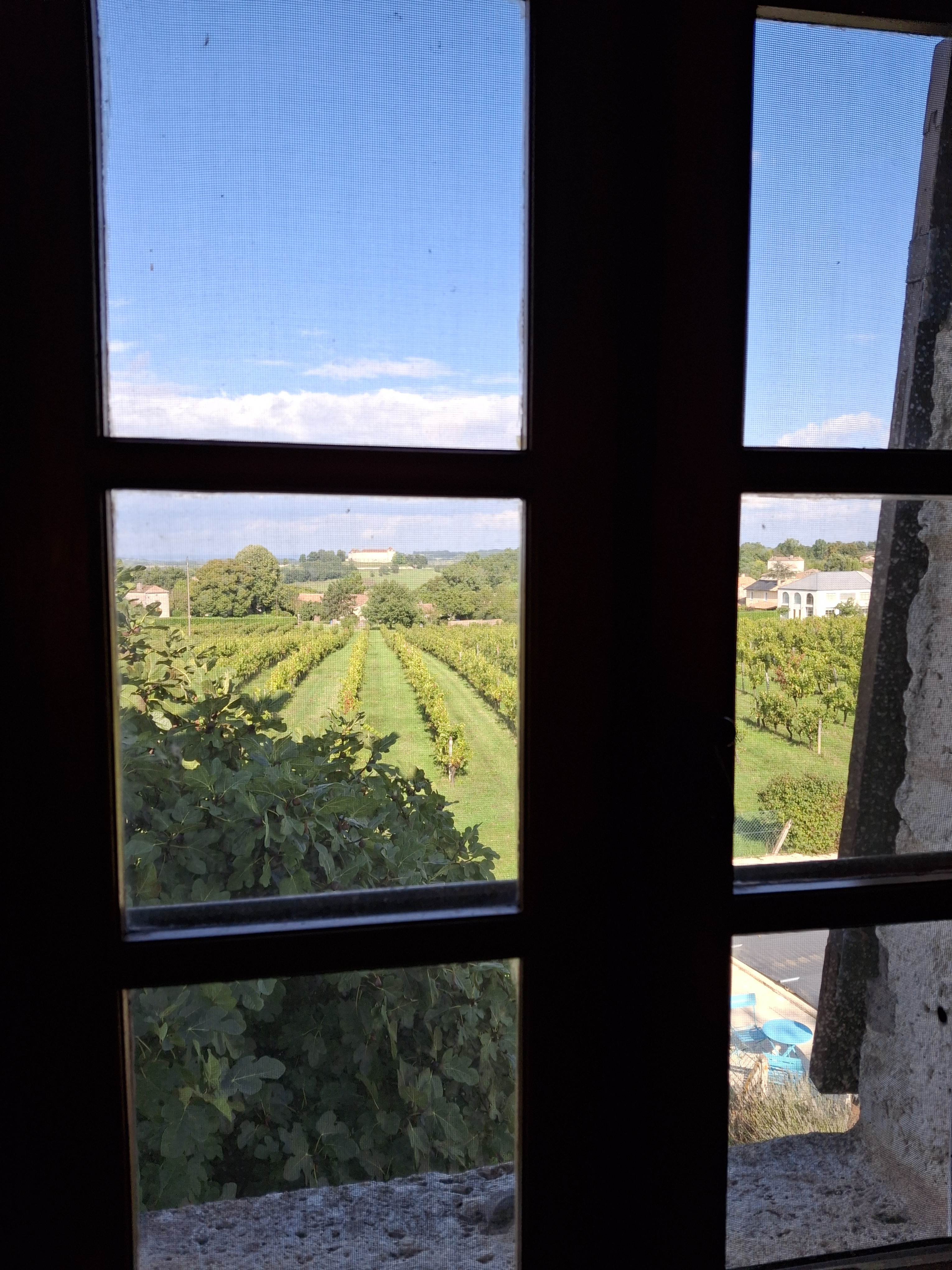 1 Bed, 1 Bath, HouseFor Sale, Loubes bernac, Lot-et-Garonne, Aquitaine, 47120