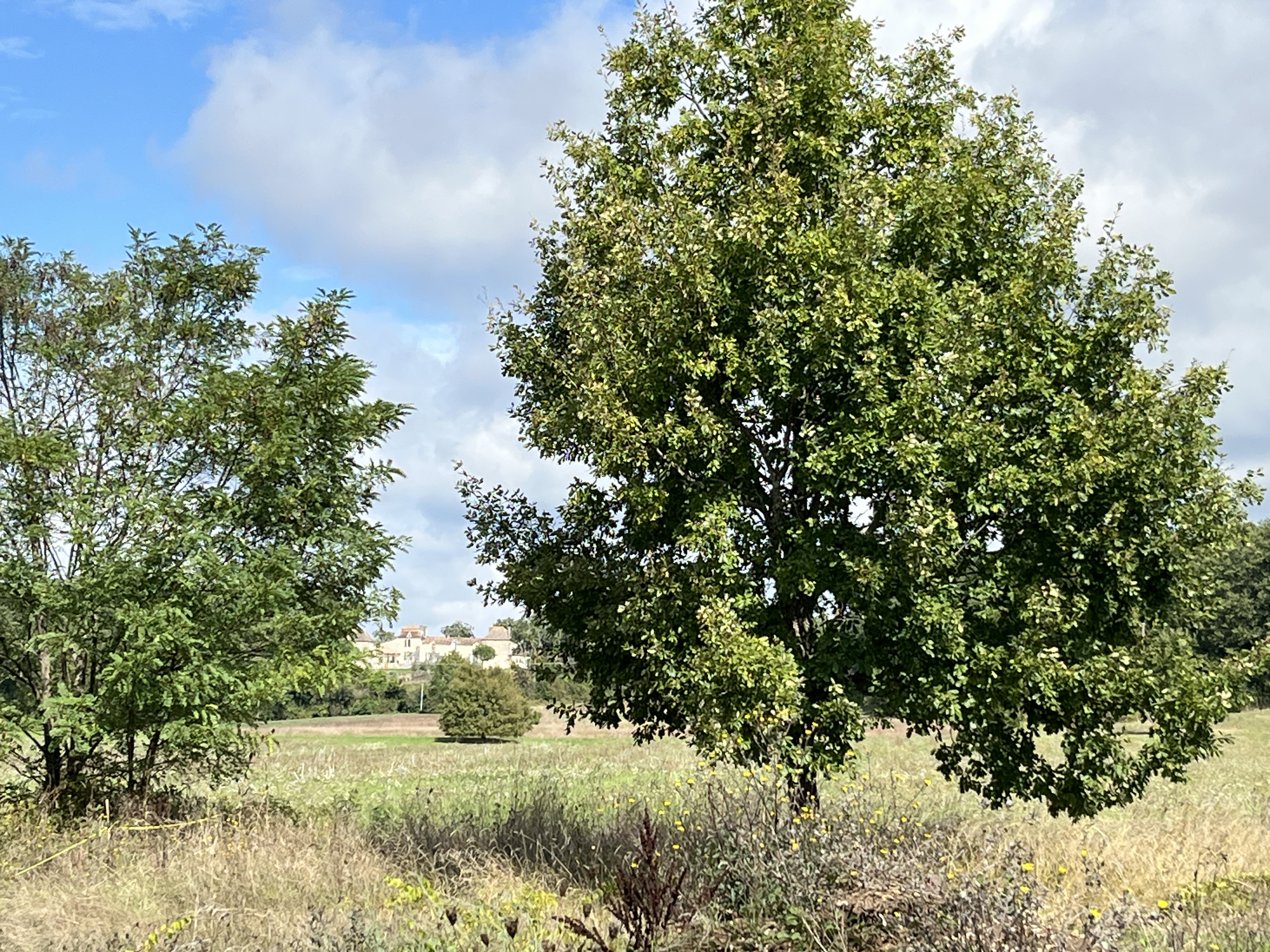 3 Bed, 2 Bath, HouseFor Sale, Velines, Dordogne, Aquitaine, 24230