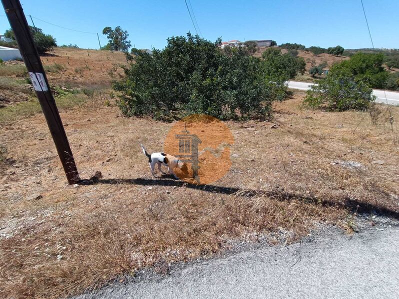 2 Bed, 1 Bath, HouseFor Sale, Castro Marim, Faro 2 Bed, 1 Bath, HouseFor Sale, Castro Marim, Faro