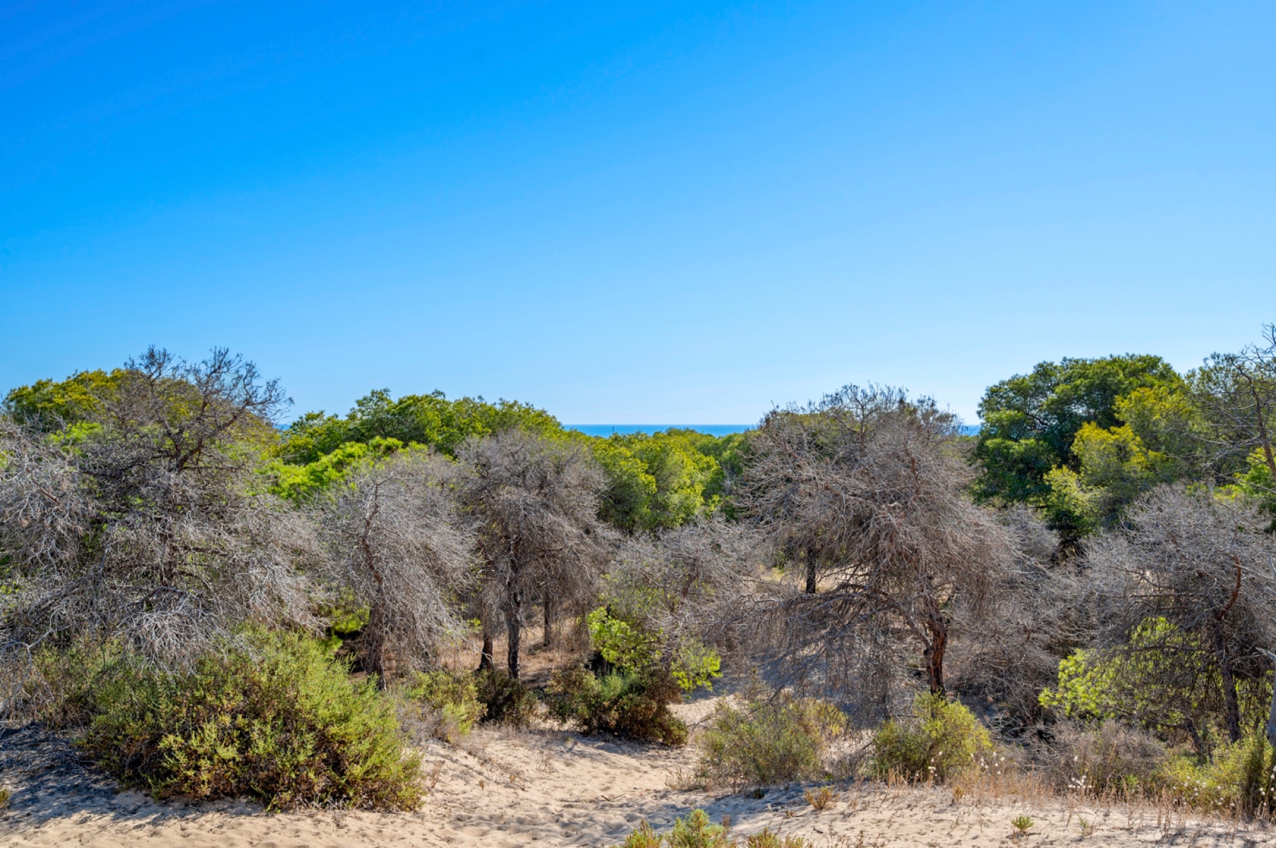 2 Bed, 2 Bath, ApartmentFor Sale, Guardamar Del Segura, Alicante