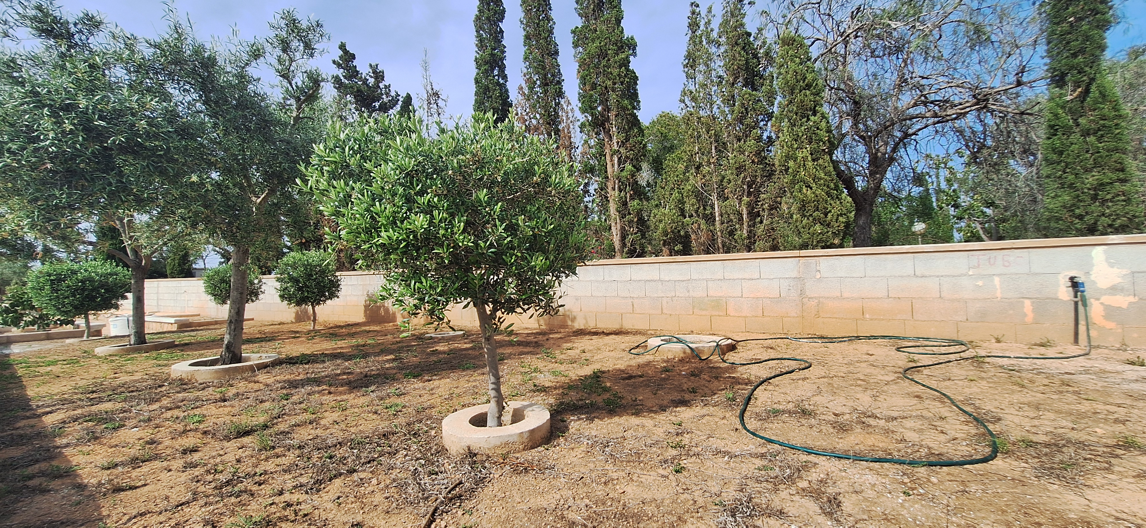 7 Bed, 5 Bath, HouseFor Sale, Elche, Alicante