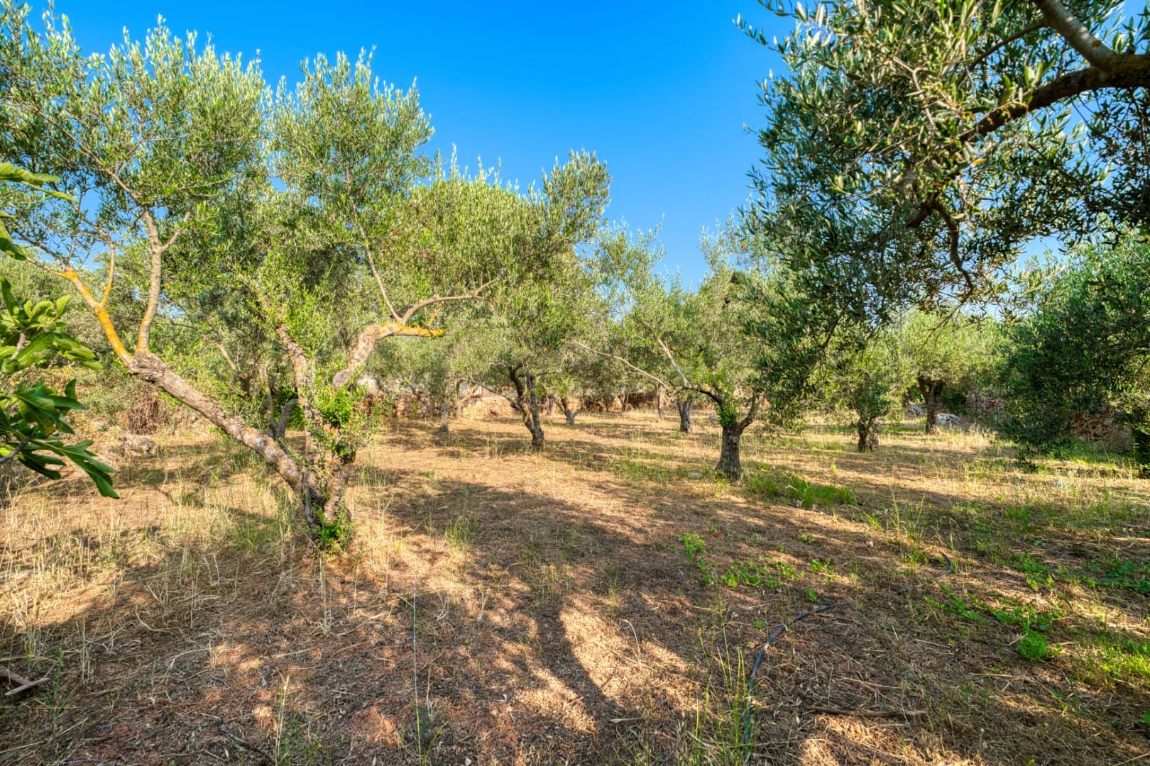 Commercial Property, For Sale