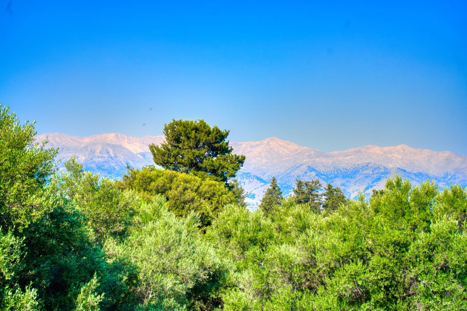 Commercial Property, For Sale