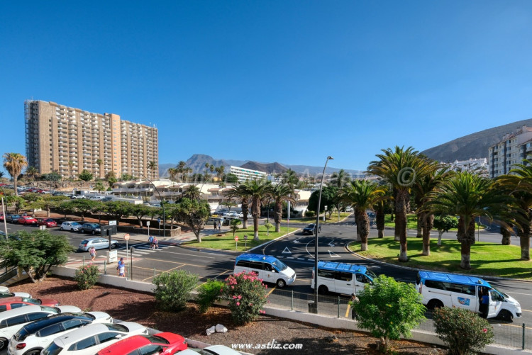 1 Bed, 1 Bath, ApartmentFor Sale, Aptos Comodoro, Los Cristianos 1 Bed, 1 Bath, ApartmentFor Sale, Aptos Comodoro, Los Cristianos