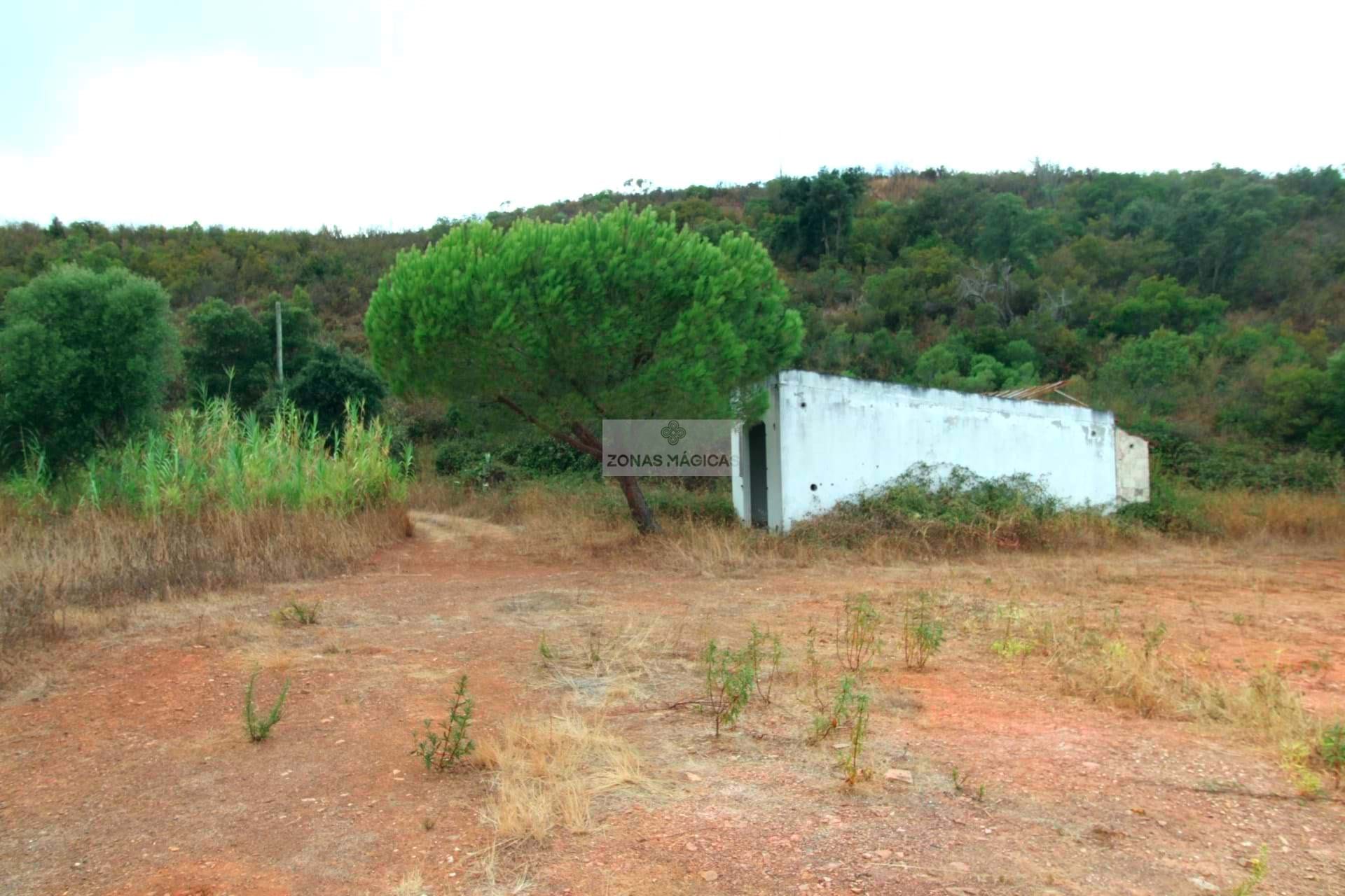 Land, For Sale