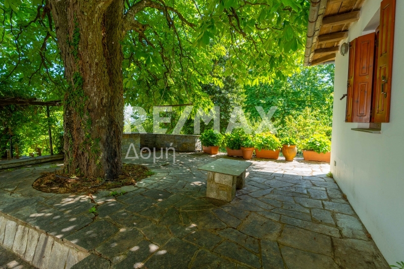 5 Bed, 5 Bath, HouseFor Sale, Tsagkarada, Mouresi, Magnesia