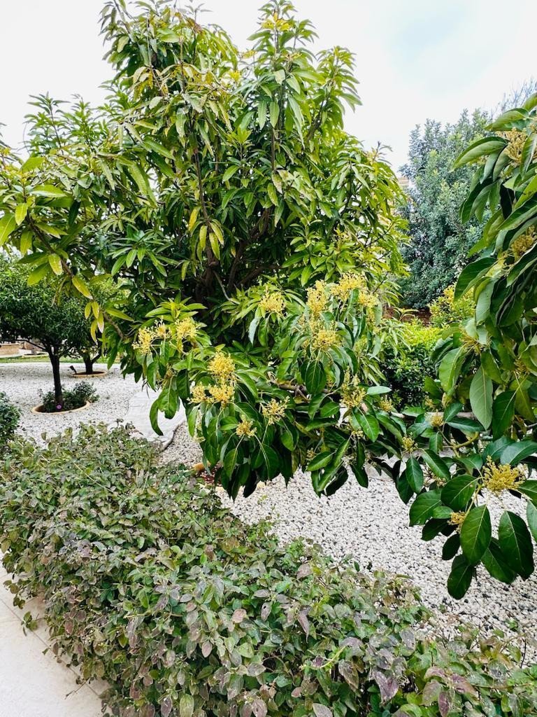 5 Bed, 5 Bath, HouseFor Sale, Aphrodite Hills, Paphos