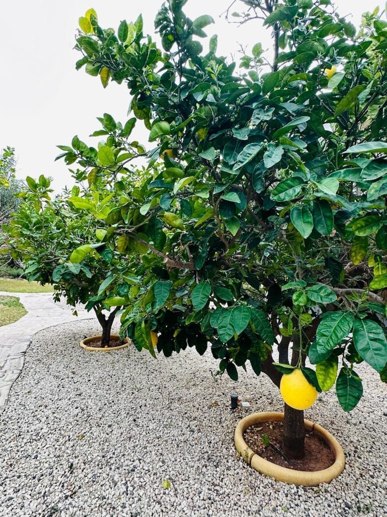 5 Bed, 5 Bath, HouseFor Sale, Aphrodite Hills, Paphos