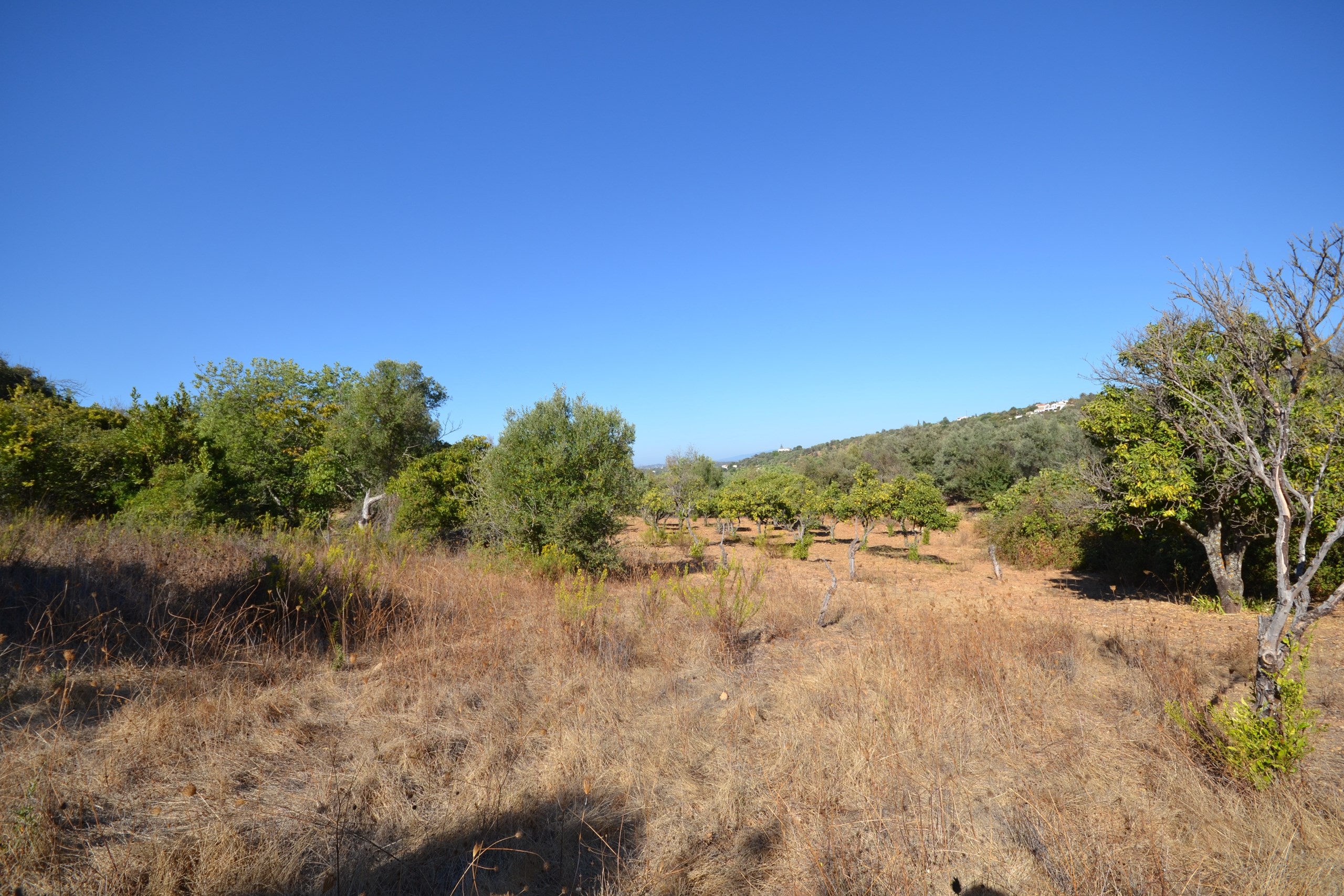 Land, For Sale