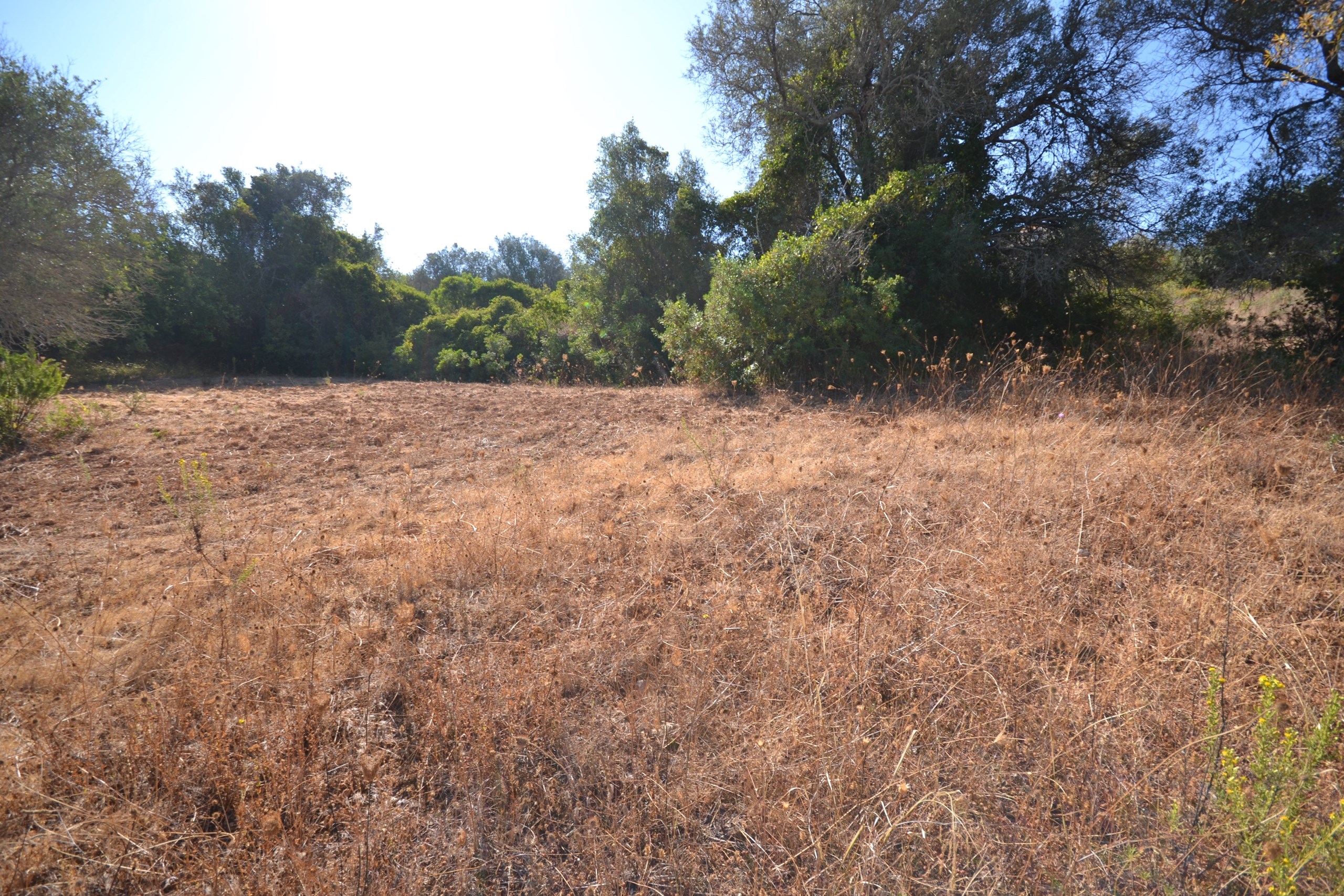 Land, For Sale