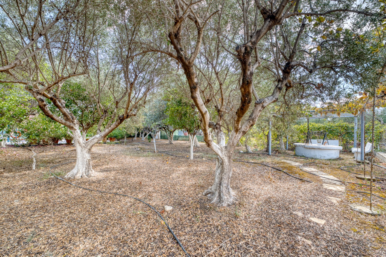 5 Bed, 2 Bath, HouseFor Sale, Chania, Crete