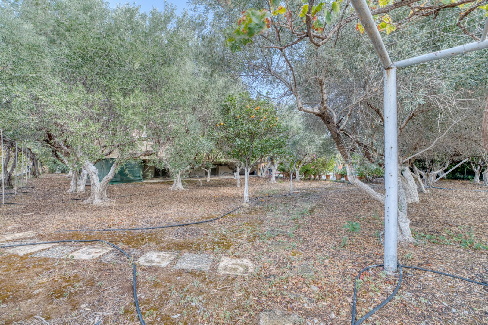 5 Bed, 2 Bath, HouseFor Sale, Chania, Crete