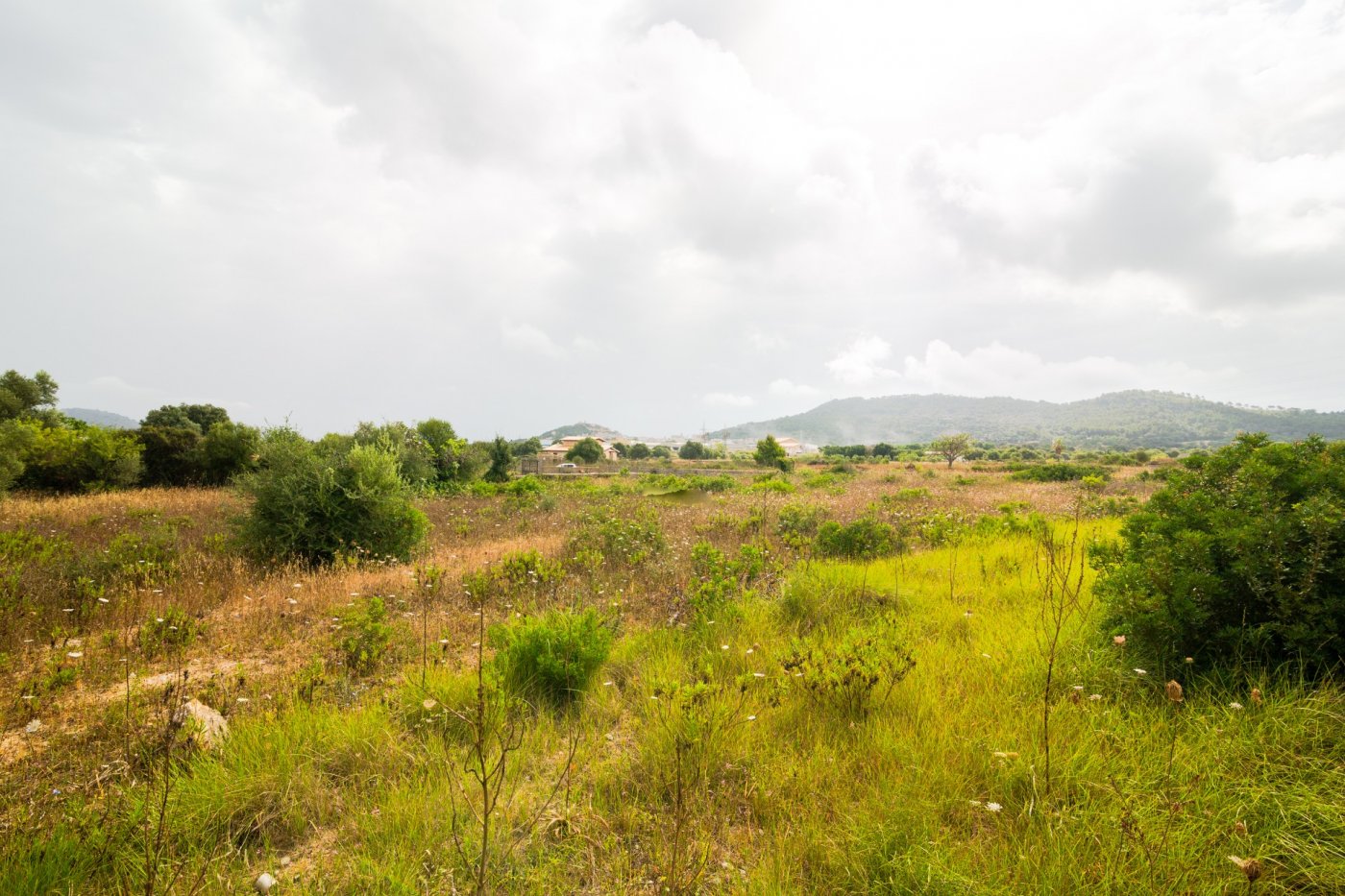 Capdepera, Baleares, ,For Sale,T-324/7006