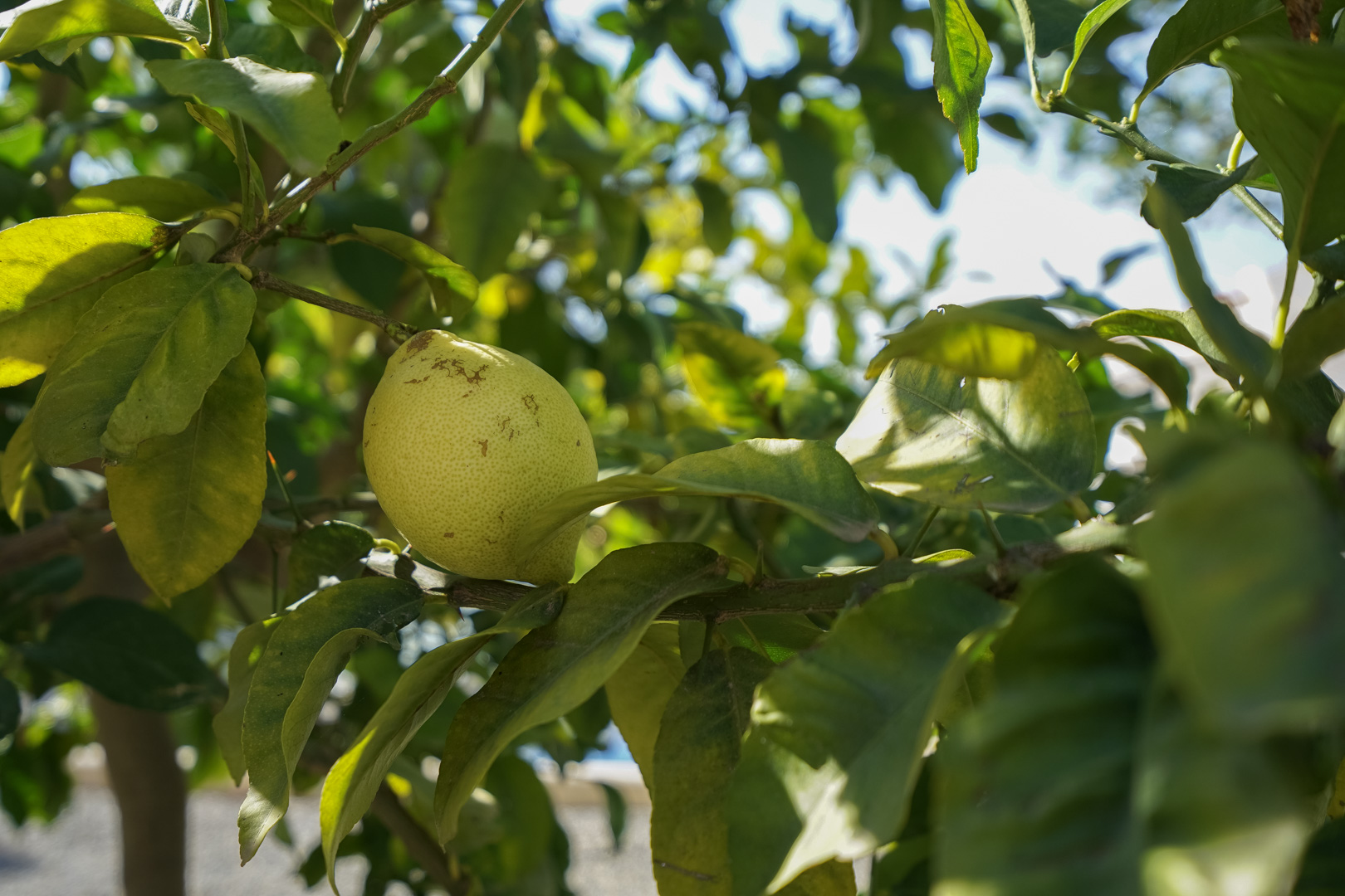 3 Bed, 2 Bath, HouseFor Sale, Benissa, Alicante