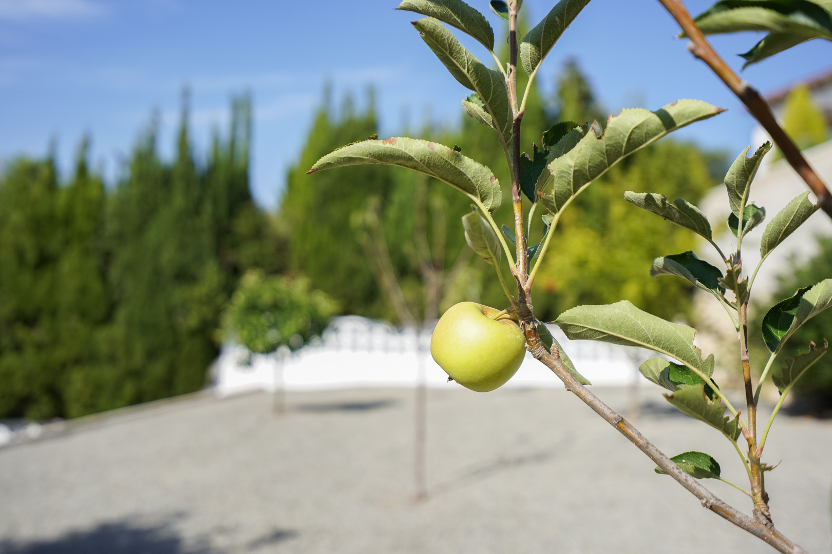 3 Bed, 2 Bath, HouseFor Sale, Benissa, Alicante