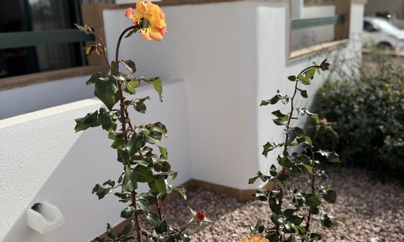 2 Bed, 2 Bath, ApartmentFor Sale, Orihuela Costa, Alicante