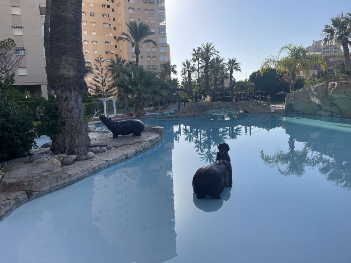 4 Bed, 4 Bath, ApartmentFor Sale, El Campello, Alicante