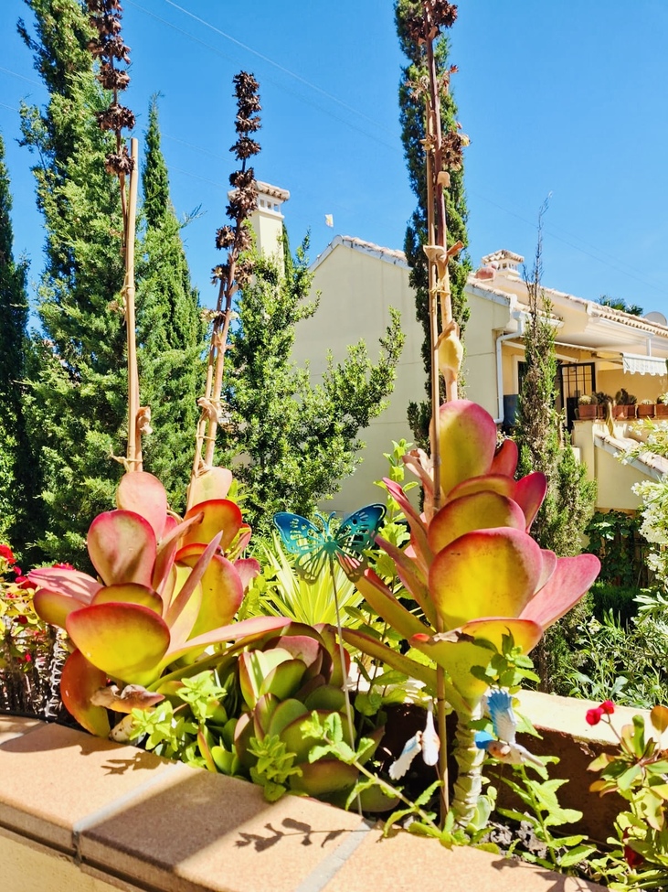 2 Bed, 1 Bath, ApartmentFor Sale, Orihuela Costa, Alicante