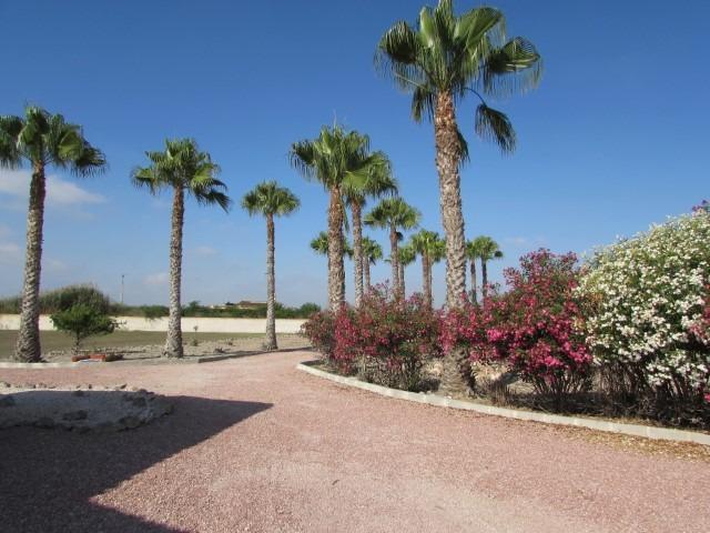 3 Bed, 2 Bath, HouseFor Sale, Dolores, Alicante