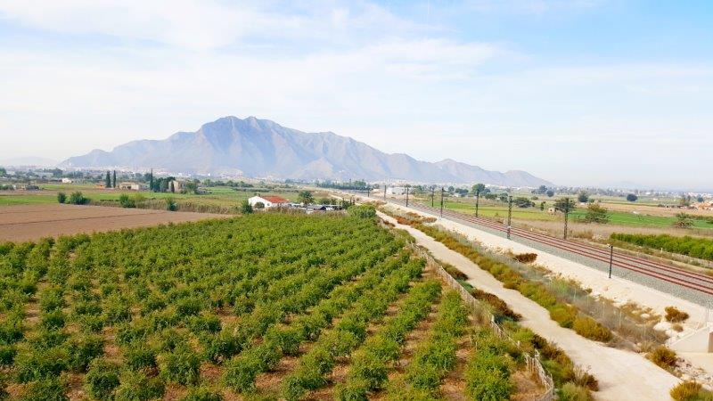 1 Bed, 1 Bath, HouseFor Sale, Callosa De Segura, Alicante 1 Bed, 1 Bath, HouseFor Sale, Callosa De Segura, Alicante