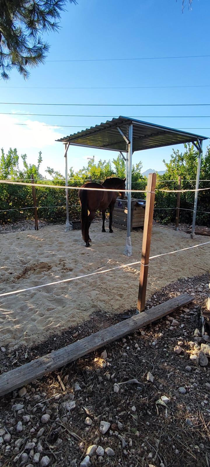 6 Bed, 2 Bath, HouseFor Sale, Orihuela, Alicante