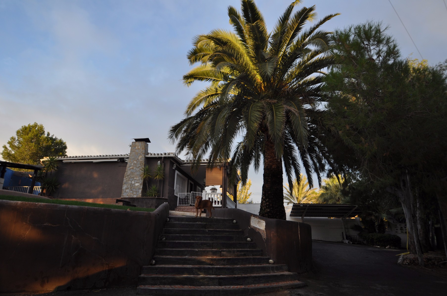 3 Bed, 2 Bath, HouseFor Sale, Monóvar/Monóver, Alicante