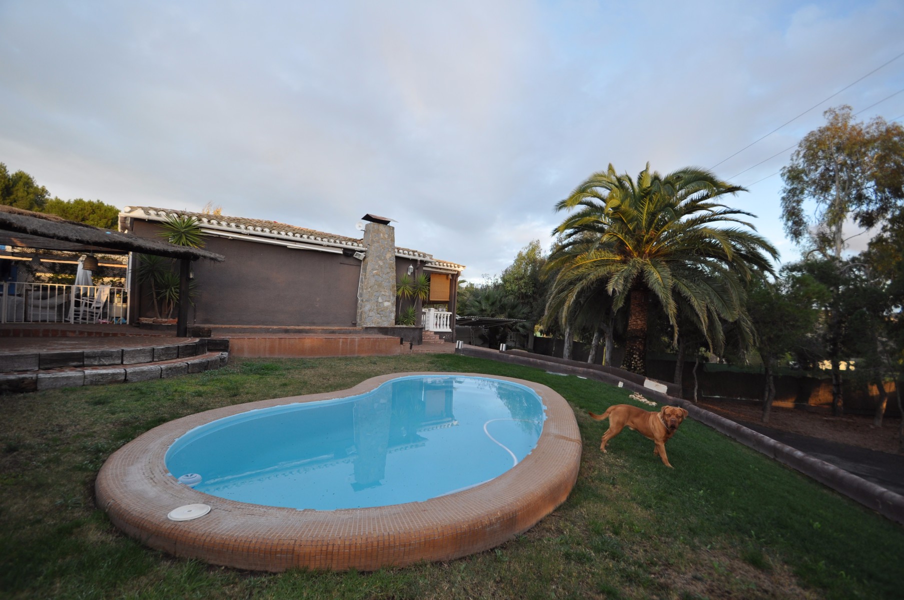 3 Bed, 2 Bath, HouseFor Sale, Monóvar/Monóver, Alicante