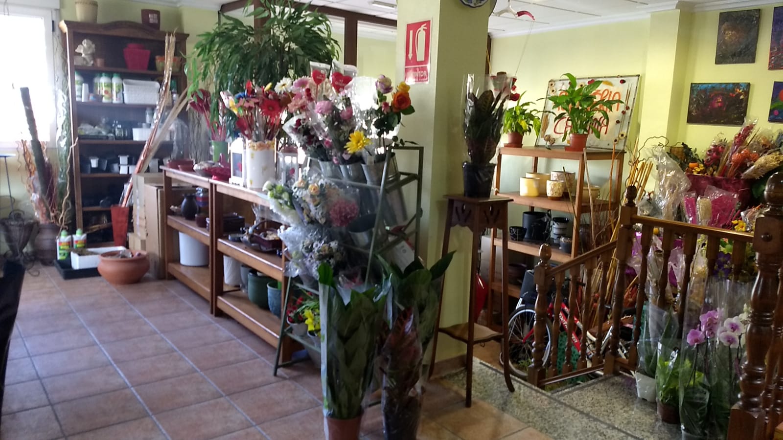 3 Bed, 2 Bath, HouseFor Sale, Pinoso, Alicante 3 Bed, 2 Bath, HouseFor Sale, Pinoso, Alicante