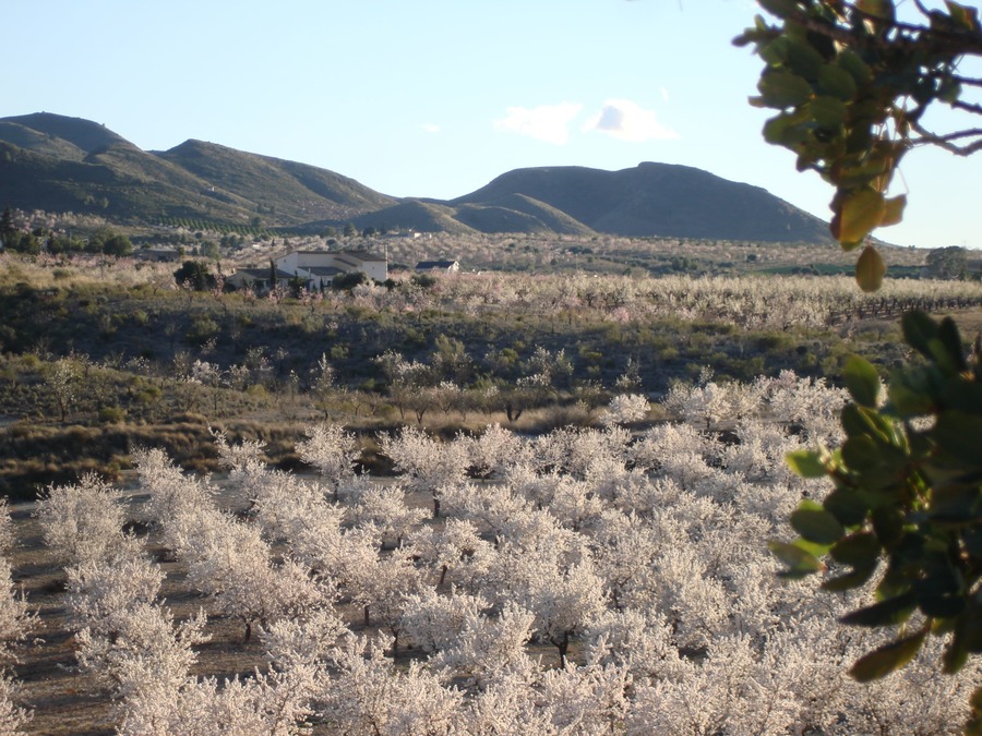 4 Bed, 3 Bath, HouseFor Sale, Lorca, Murcia