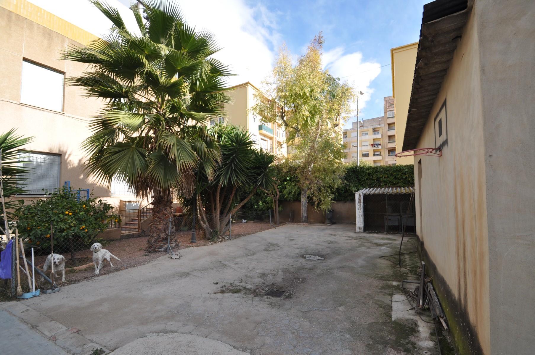 12 Bed, 5 Bath, HouseFor Sale, Petrer, Alicante