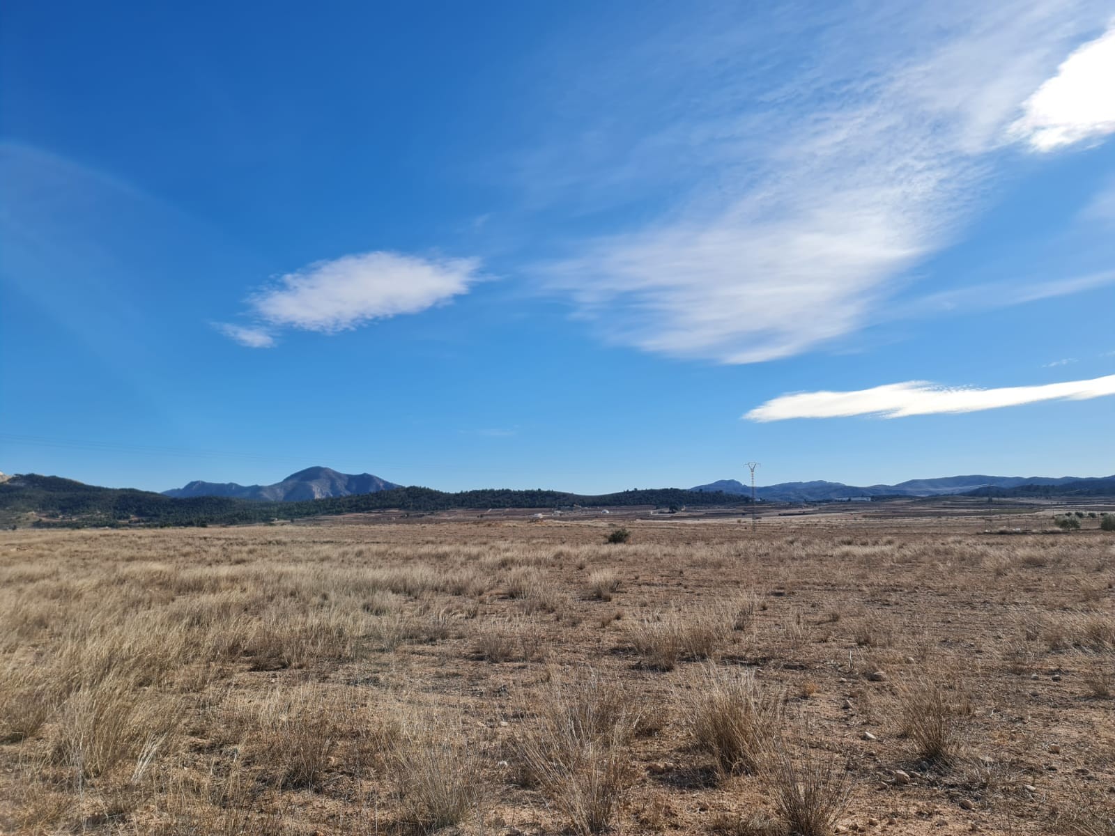 3 Bed, 2 Bath, HouseFor Sale, Pinoso, Alicante