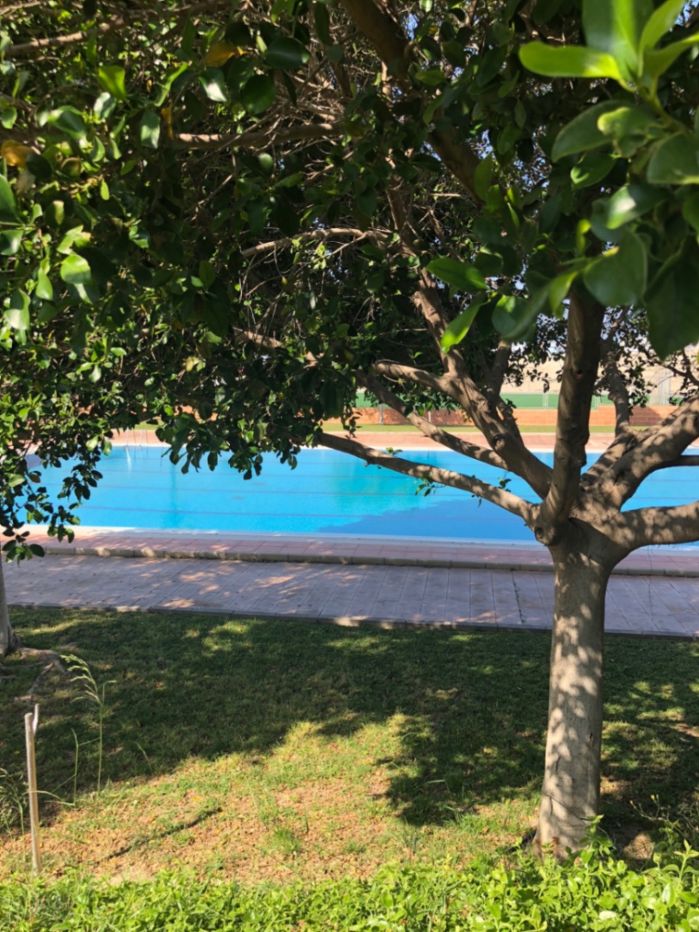 3 Bed, 2 Bath, HouseFor Sale, San Miguel de Salinas, Alicante