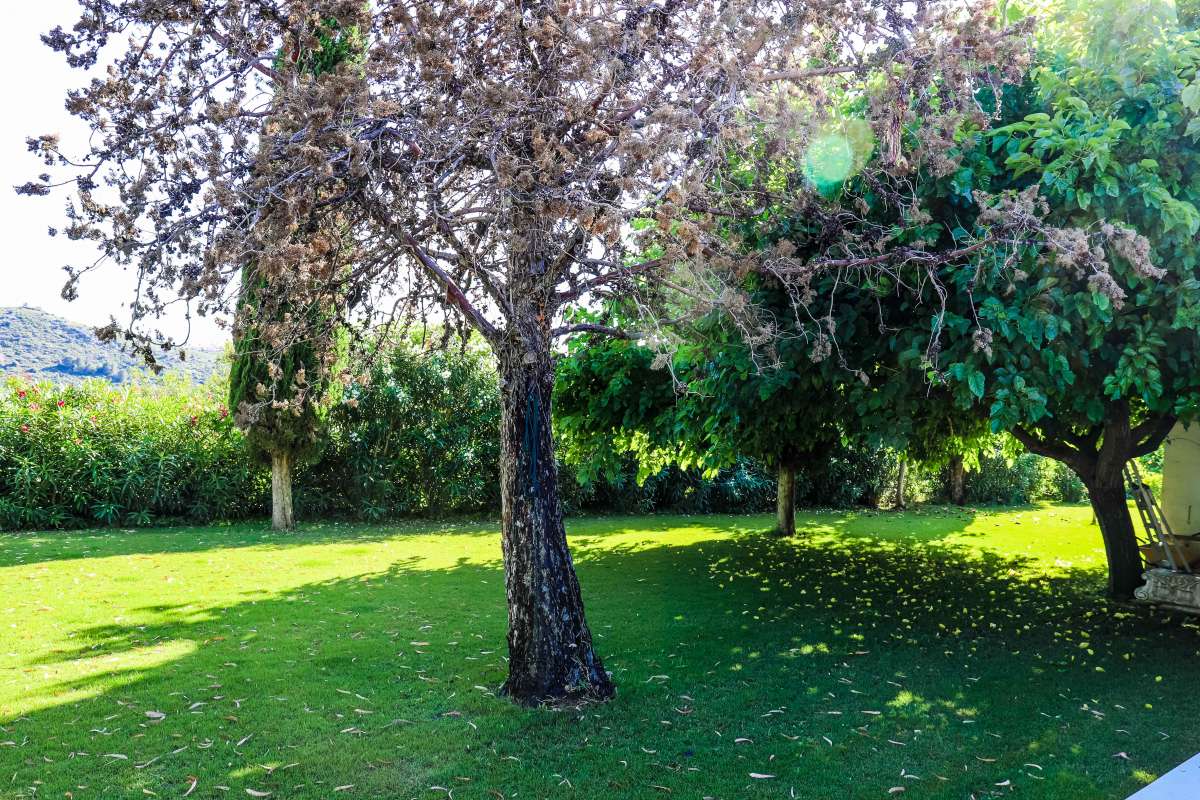 5 Bed, 4 Bath, HouseFor Sale, Jesús Pobre, Alicante