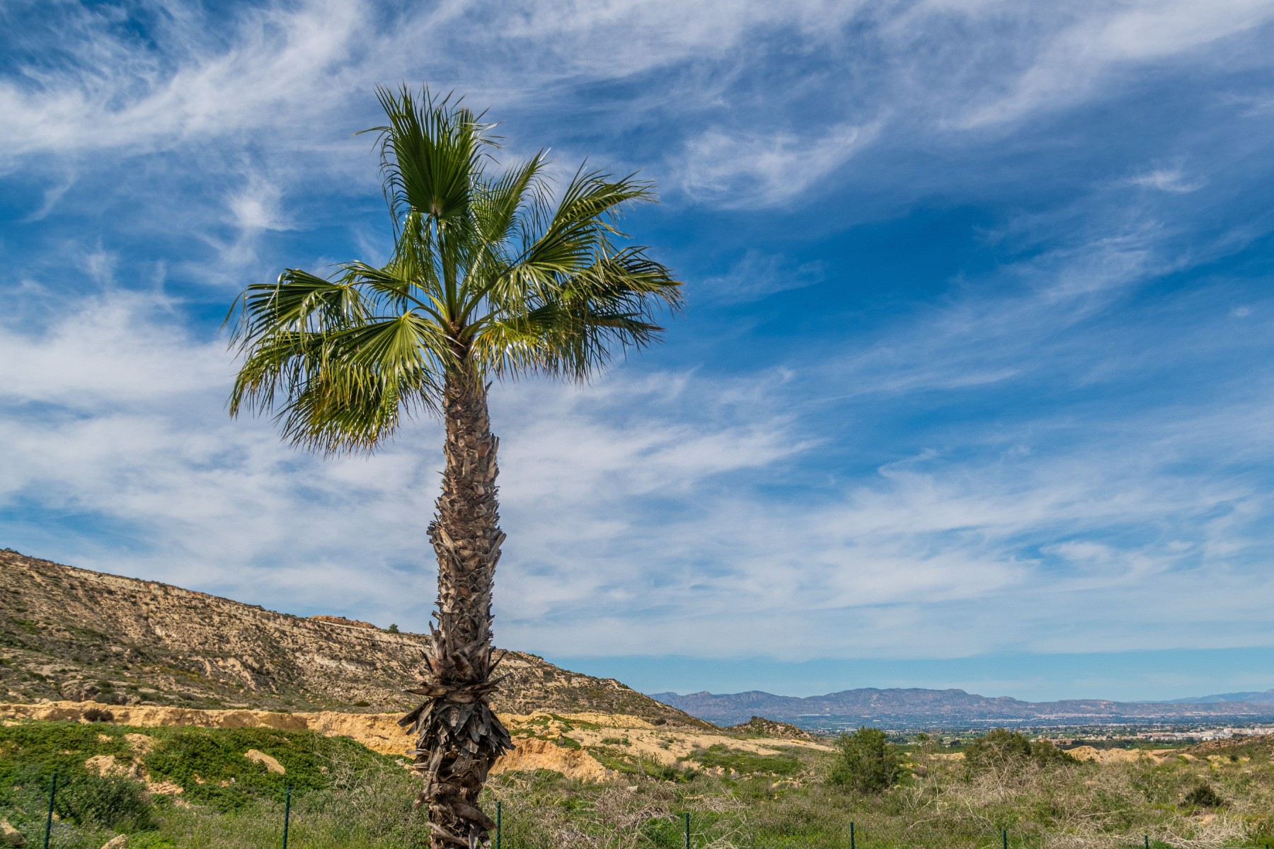 3 Bed, 2 Bath, ApartmentFor Sale, Algorfa, Alicante