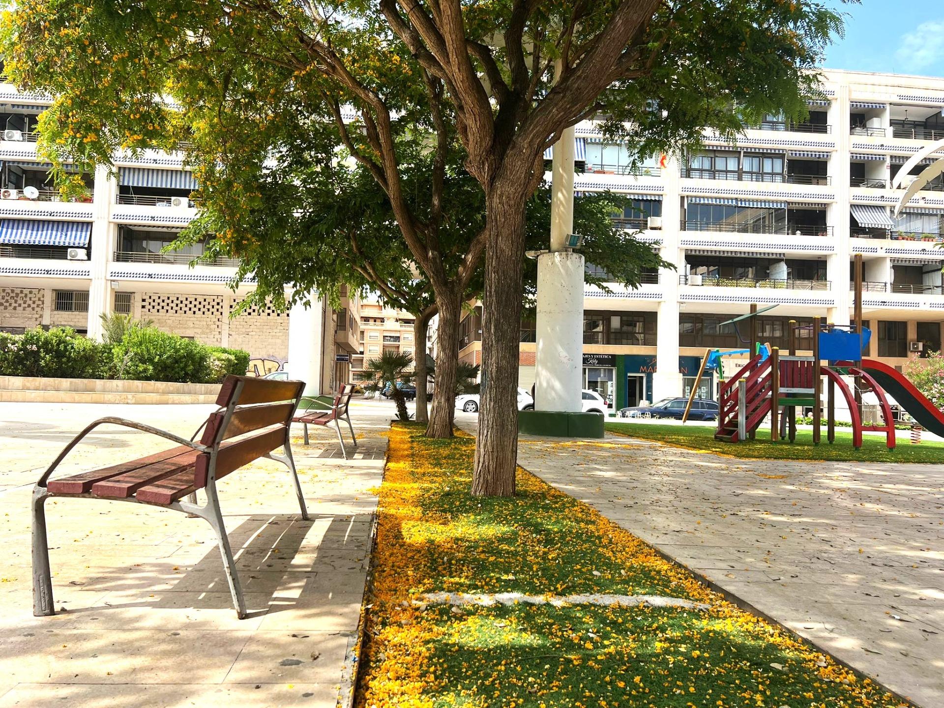 2 Bed, 1 Bath, ApartmentFor Sale, Guardamar Del Segura, Alicante