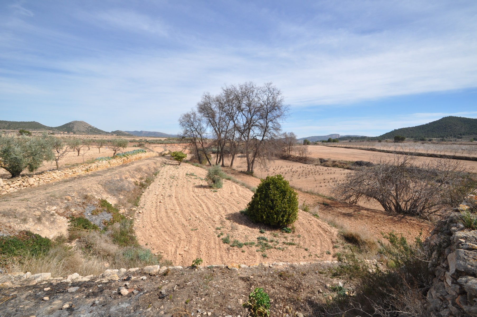 6 Bed, 1 Bath, HouseFor Sale, Monóvar/Monóver, Alicante