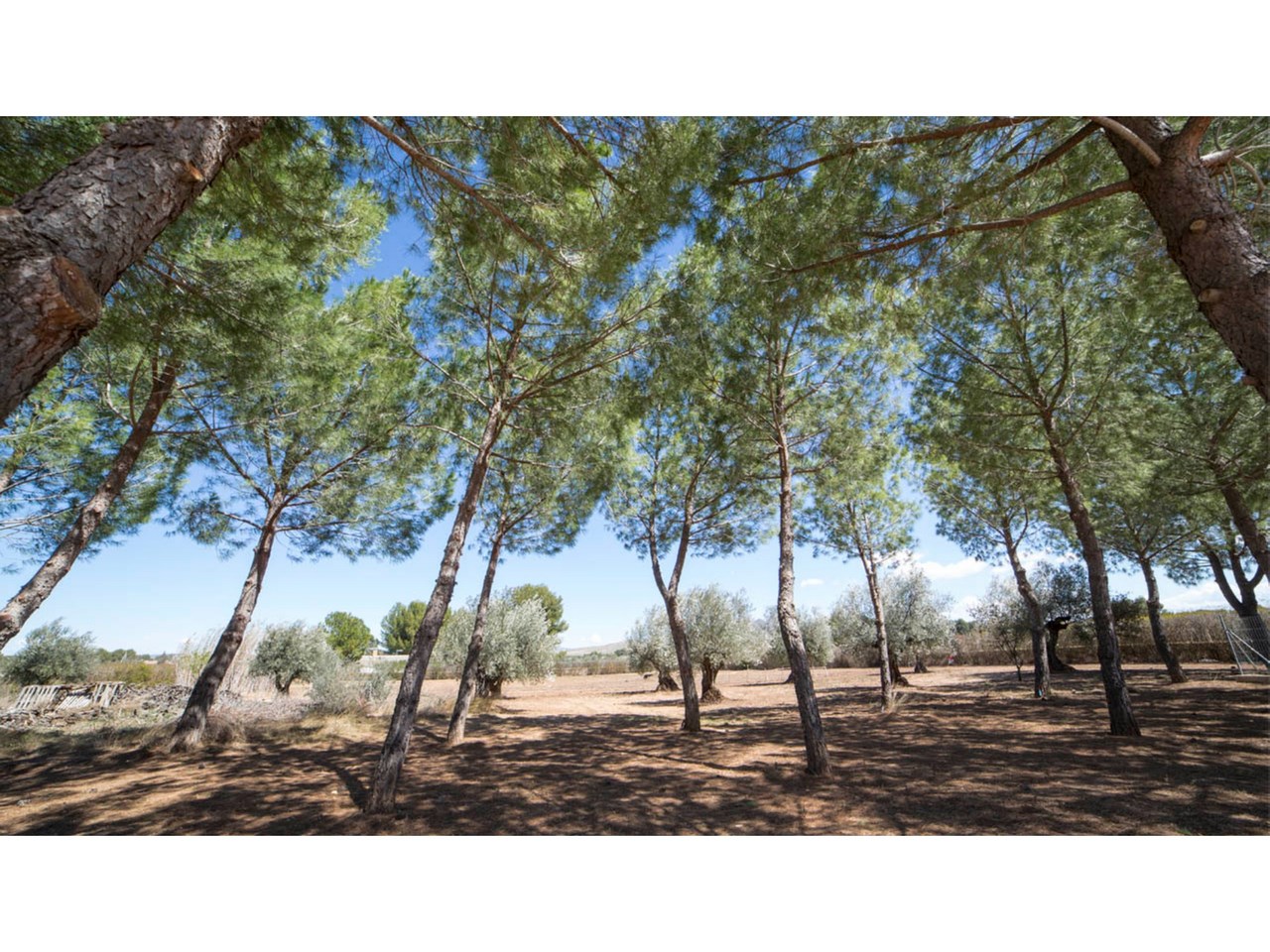 6 Bed, 3 Bath, HouseFor Sale, Yecla, Murcia