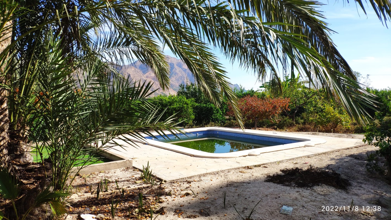 2 Bed, 1 Bath, HouseFor Sale, Redovan, Alicante 2 Bed, 1 Bath, HouseFor Sale, Redovan, Alicante