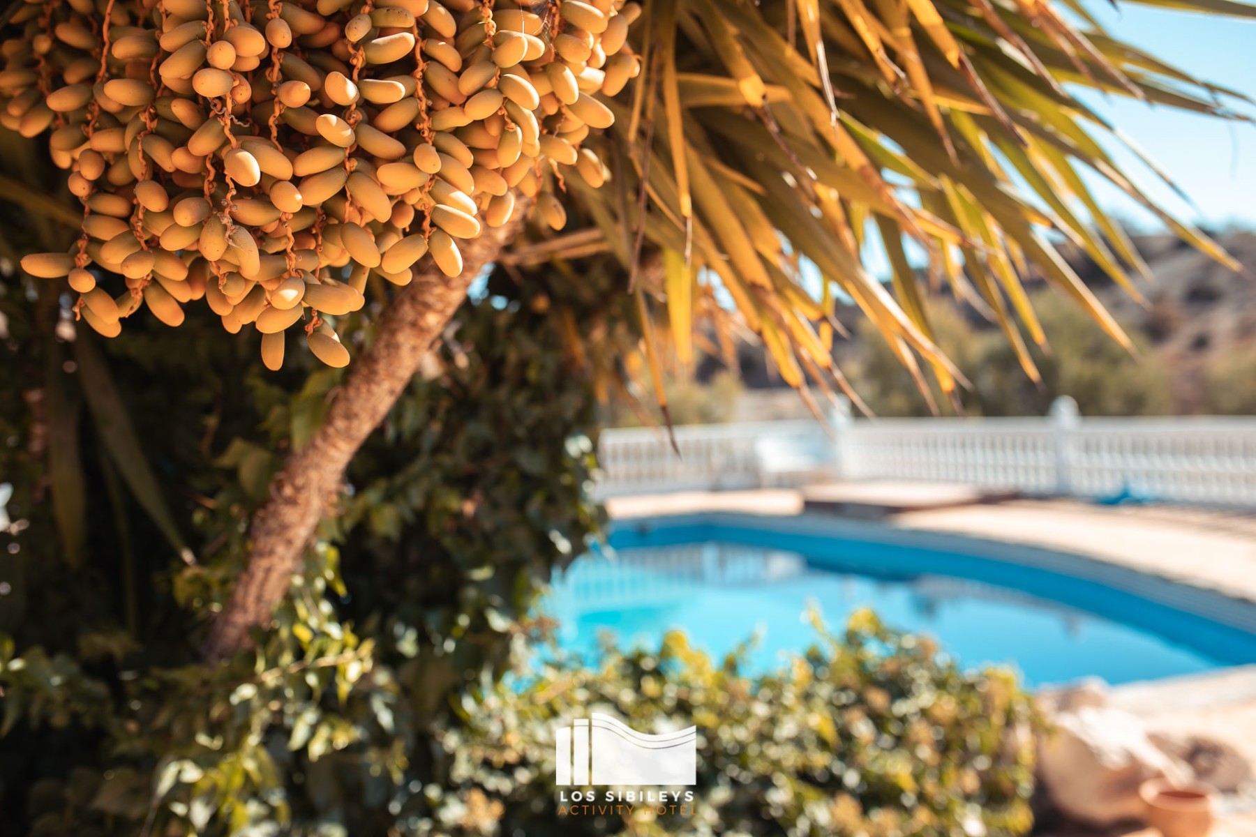 7 Bed, 8 Bath, HouseFor Sale, Lorca, Murcia