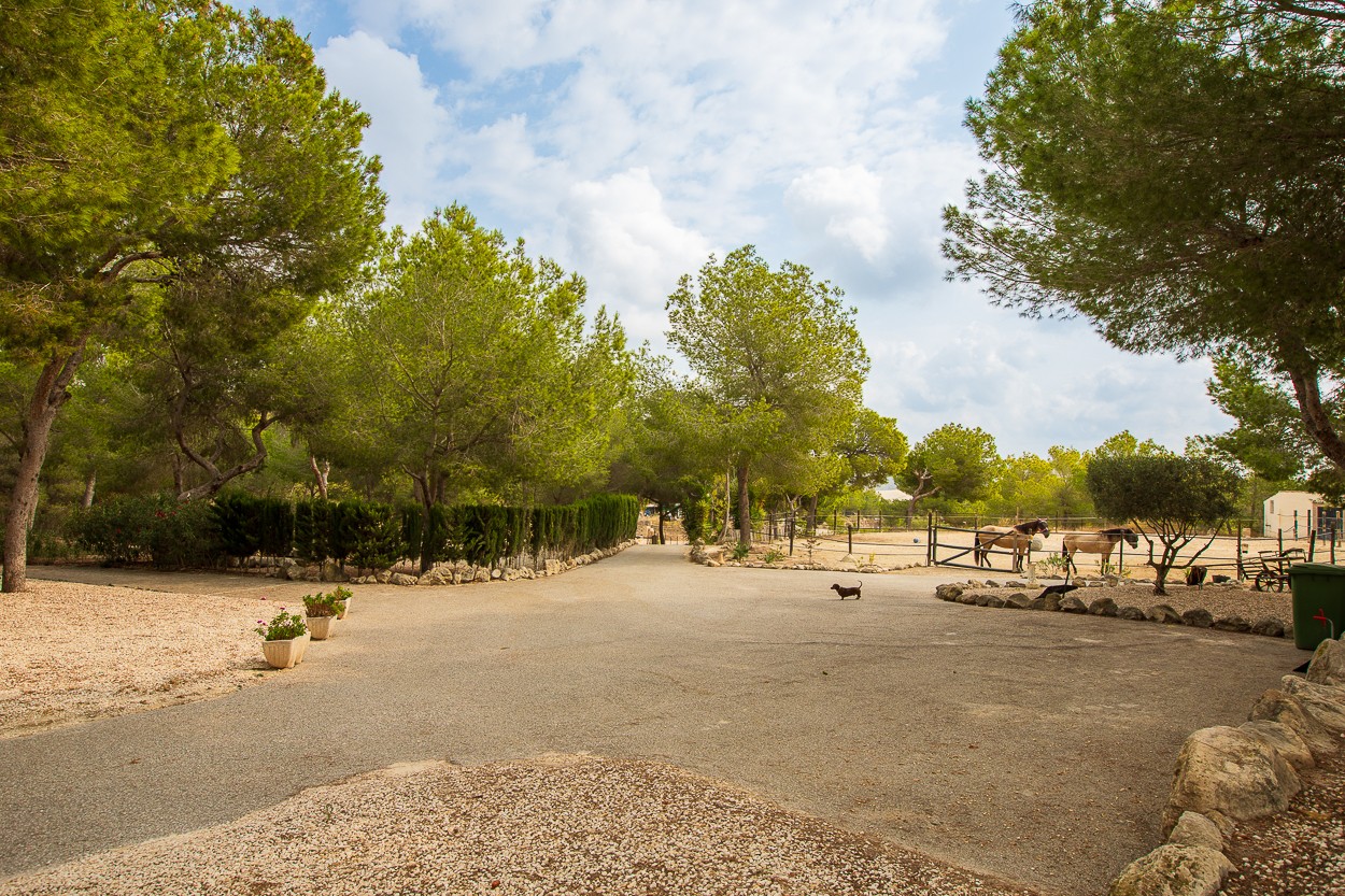 4 Bed, 2 Bath, HouseFor Sale, Torremendo, Alicante