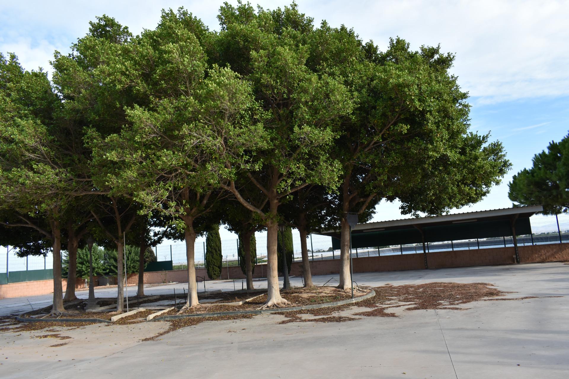 2 Bed, 1 Bath, HouseFor Sale, Torre Pacheco, Murcia