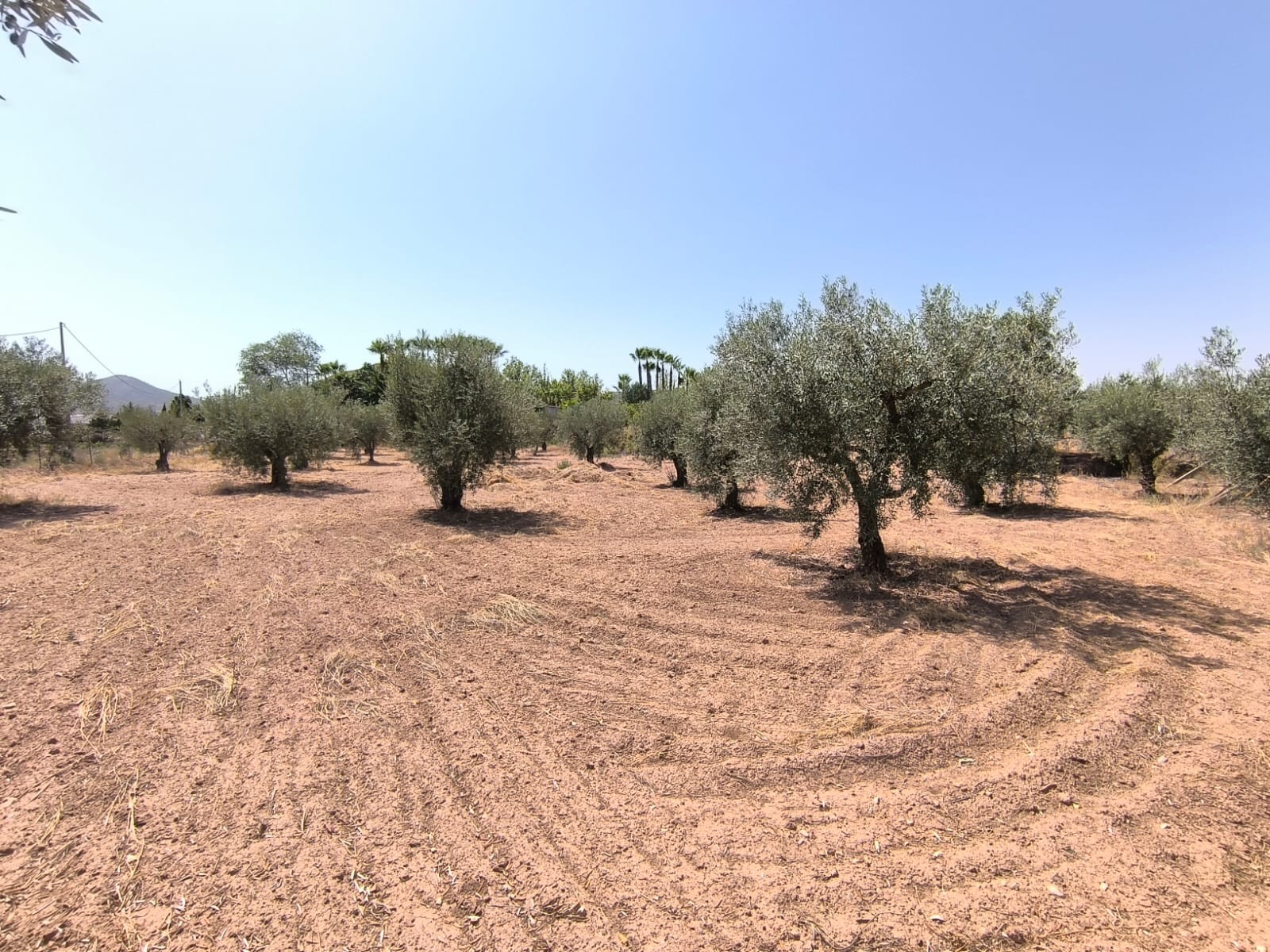 5 Bed, 2 Bath, HouseFor Sale, Jumilla, Murcia