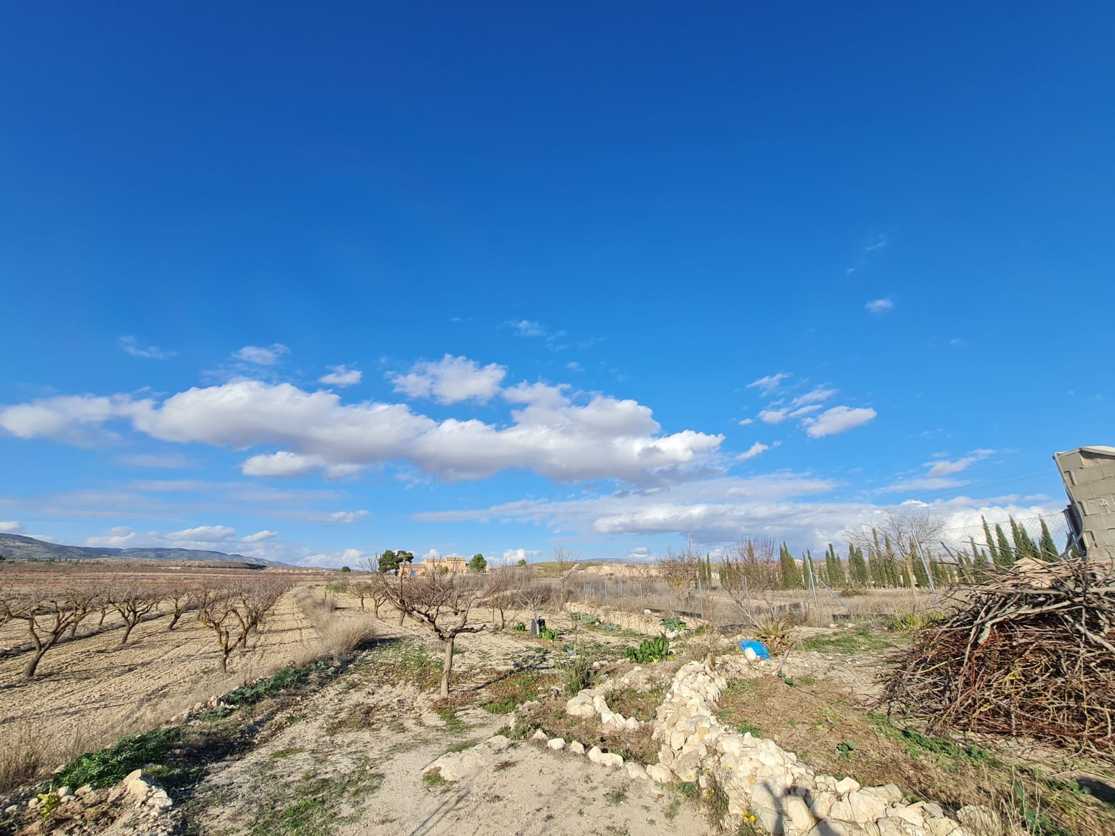 4 Bed, 3 Bath, HouseFor Sale, Pinoso, Alicante