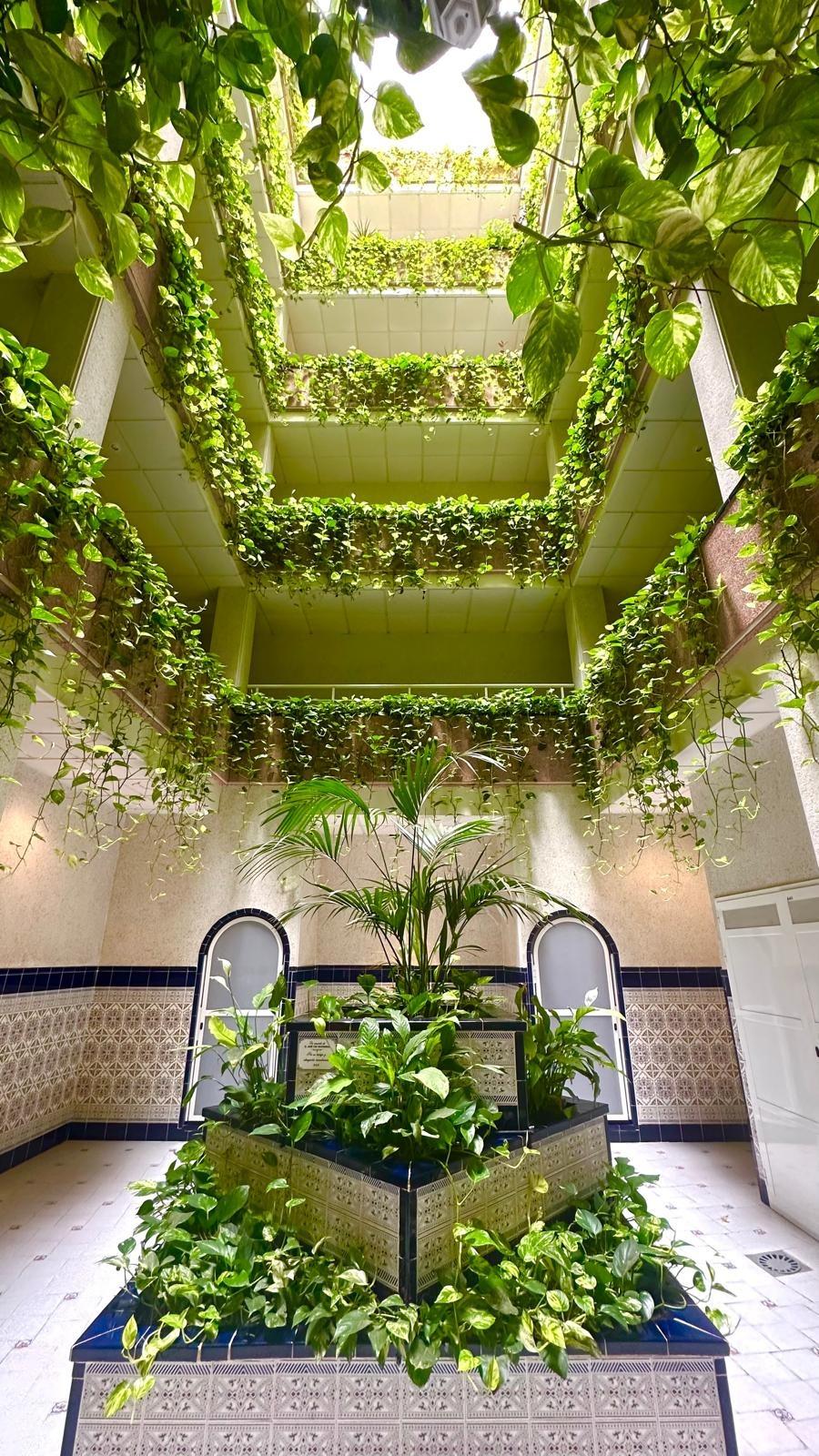 1 Bed, 1 Bath, ApartmentFor Sale, Torrevieja, Alicante