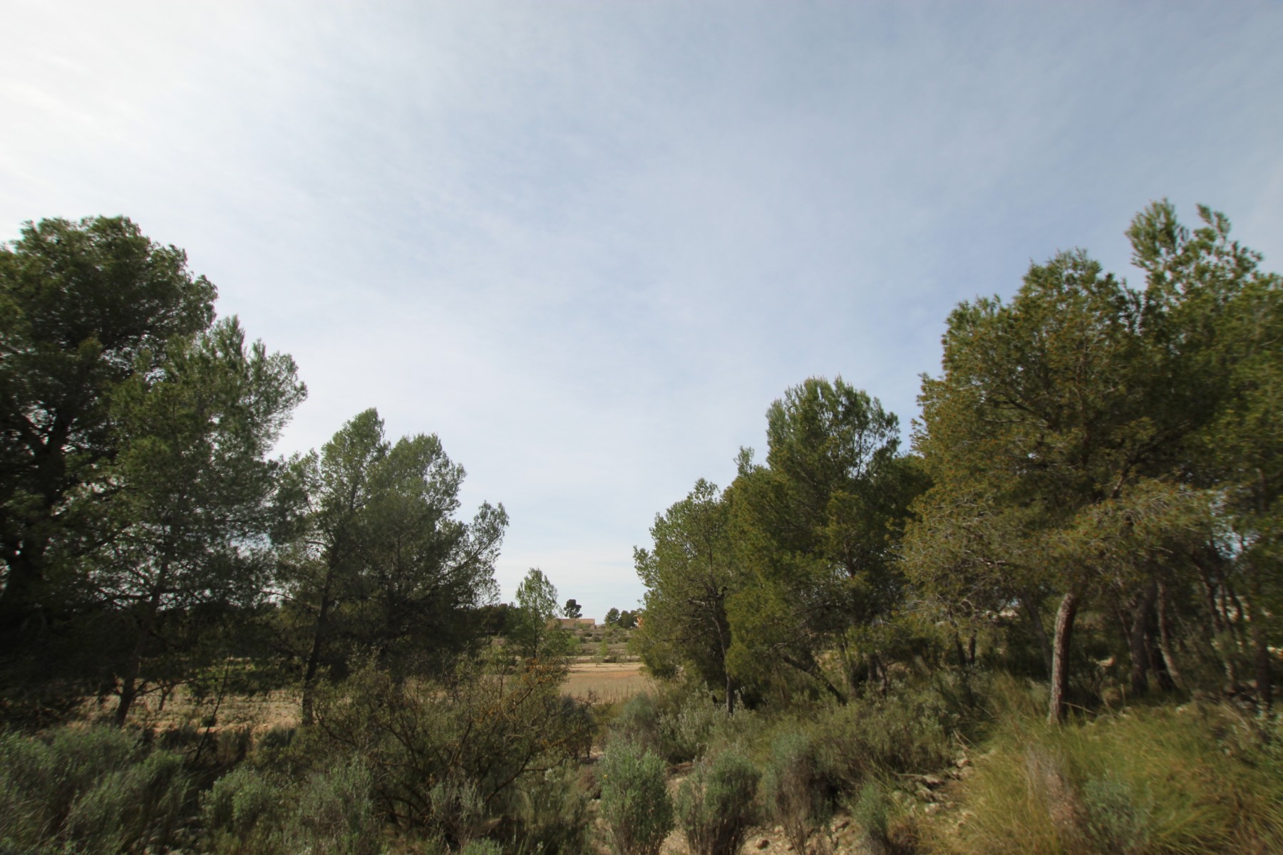 1 Bed, 1 Bath, HouseFor Sale, Monóvar/Monóver, Alicante